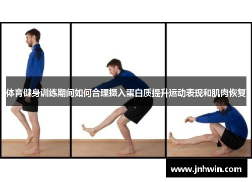 体育健身训练期间如何合理摄入蛋白质提升运动表现和肌肉恢复